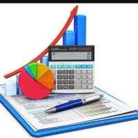 انجام خدمات مالی و مالیاتی توسط مدیر مالی