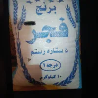 برنج فجرنورآبادممسنی