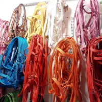 کلگی اسب