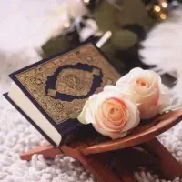 سرکتاب دقیق