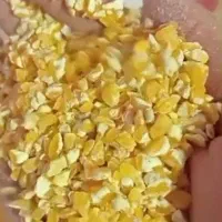 خوراک دام وطیور