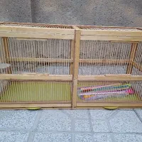 قفس پرنده