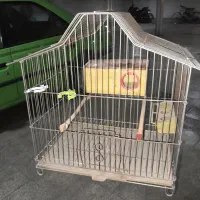 قفس پرنده در حد با لوازم
