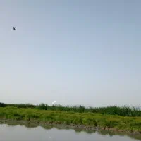 زمین-کشاورزی