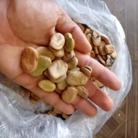 باقله|خوردنی و آشامیدنی|رامهرمز, |دیوار
