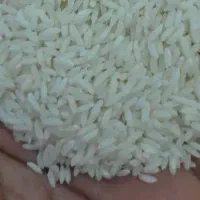 برنج عنبر بو تیلکی عقیلی