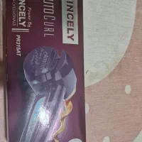دستگاه پرنسلی