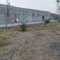 دعوت به همکاری و شراکت در پرورش مرغ تخمگذار محلی