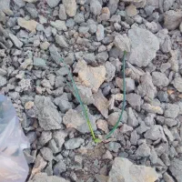 مصالح ساختمانی قسطی لوتین