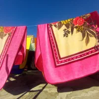 اتوشویی سید زیر قیمت همه جا