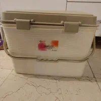 سبدپیکنیک لیمون وناصروآبمیوه گیری
