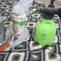 سم پاش کف کش بذرخیار  سم درخت