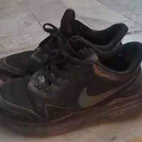 کفش اسپرت مردانه گمشده