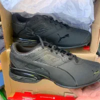 پوما تازون اورحینال خرید از خارج puma