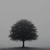سیم کارت کد هفت۷