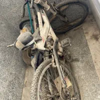 دورچرخه سایز ۲۶ مارک الگانس
