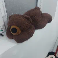 عروسک|اسباب‌‌بازی|بهبهان, |دیوار