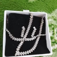 سرویس تمام نقره مشابه طلا سفید
