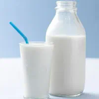 شیرگوسفندوماست کوسفند
