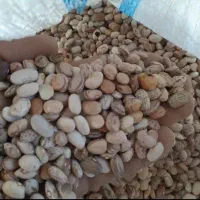 لوبیا چیتی و لپه چیتی ارزان و با کیفیت