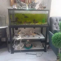 اکواریوم