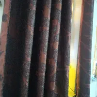 شاین دار