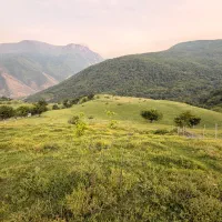فروش زمین باغی ۱۴۰۰ متر در منطقه آرام و زیبا