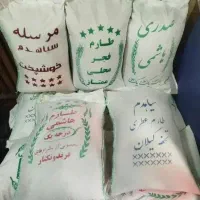برنج ایرانی طارم هاشمی فریدونکنار