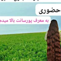 موی طبیعی