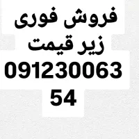 09123006354