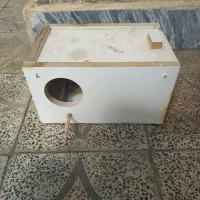 لونه مخصوص عروس هلندی وسه لونه مرغ عشق نو*زیر قیمت