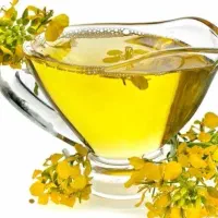 روغن زیتون کنجد کلزا