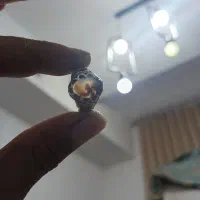 انگشتر شجر