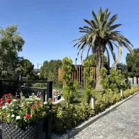 مجموعه گل و گیاه گرین