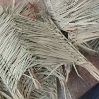جارو