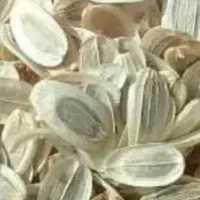 بذرانغوزه