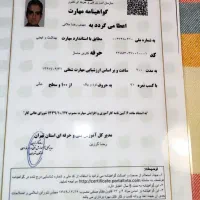 ماساژ ورزشی و حرکات اصلاحی ورزشکاران افراد کم توان