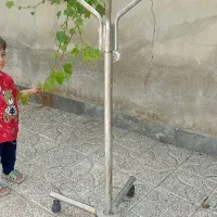 رگال گردان|بندرخت و رخت‌آویز|پارس‌آباد, |دیوار