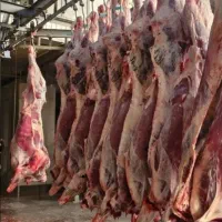 پخش گوشت معینی  با قیمت های پایین