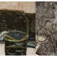 سبزی سرخ و خورد شده