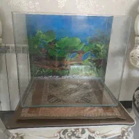 آکواریوم لبه خم