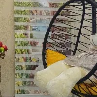 پرده زبرا