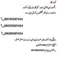 شماره انتخابی و دلخواه شما