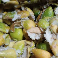 فروش تفاله لیمو مخصوص گوسفند بز گاو