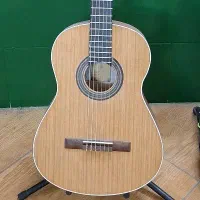 گیتار پارسی M5