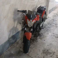 دینو گلد