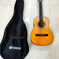 گیتار با کاور