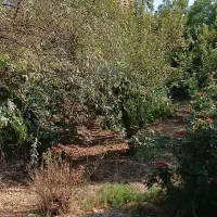 راهنمایی جهت باغچه