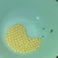 پرورش حلزون