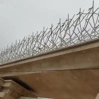 حفاظ شاخ گوزنی